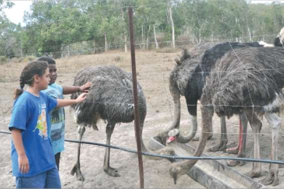Ils se sont dépaysés à domicile