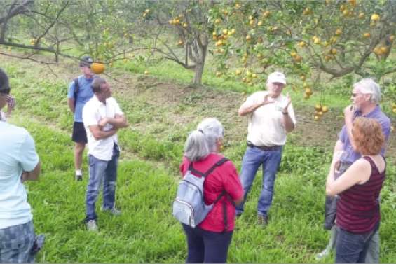 L'agriculture comme « Repair »