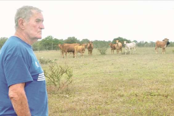 Sécheresse : léger répit