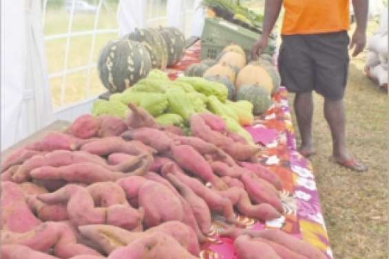 La grande vitrine des Îles
