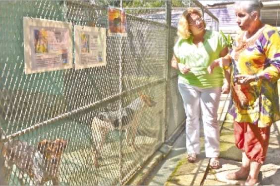 La Spanc n'ira pas à Tindu