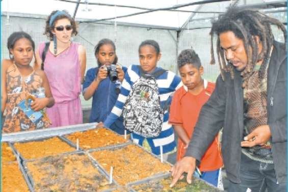 Des collégiens sous serre