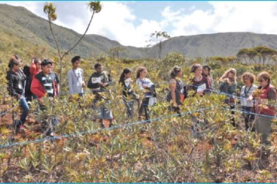 Inventaire vertà la pépinière