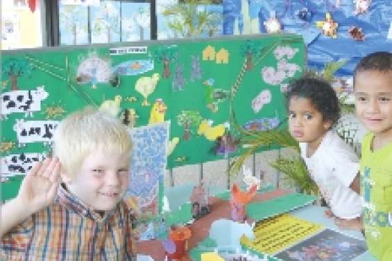 Les couleurs  des Niaoulis