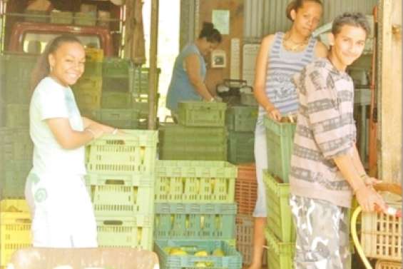 Jobs d'été recrutent entreprises