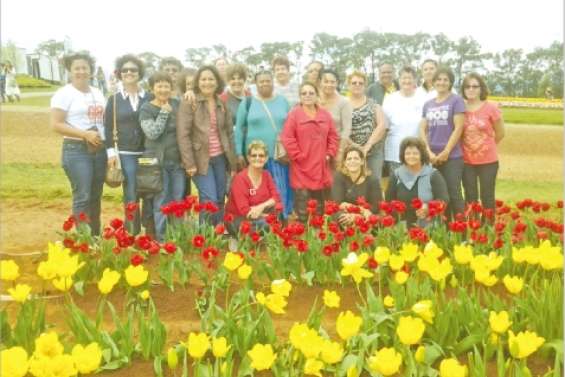 Elles ont fait leur marché