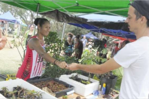 L'endémisme a la cote