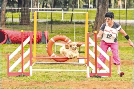 L'agilityau premier plan