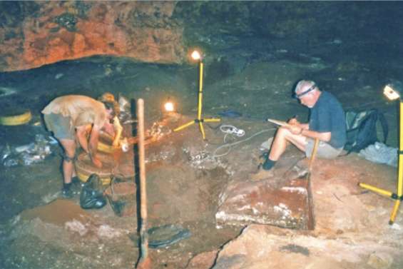 Un varan sort de terre