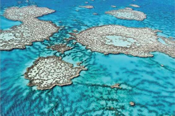 La Grande Barrière se dégrade