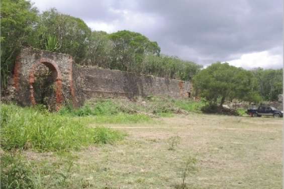 Pam fait un brin de toilette