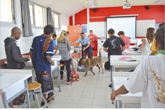 Une visite stupéfiante