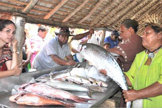 Pris dans les filets de Poum