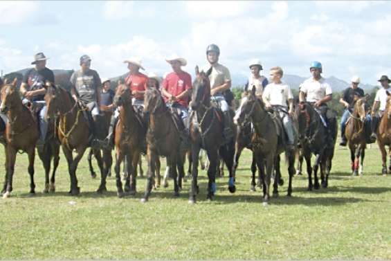Une journée crinière au vent