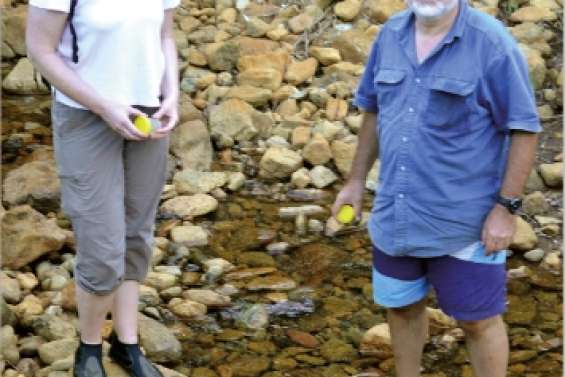 Les creeks sous vigilance