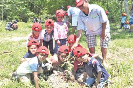 Des citoyens à la main verte