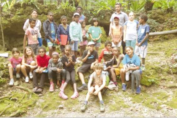 La forêt à la loupe