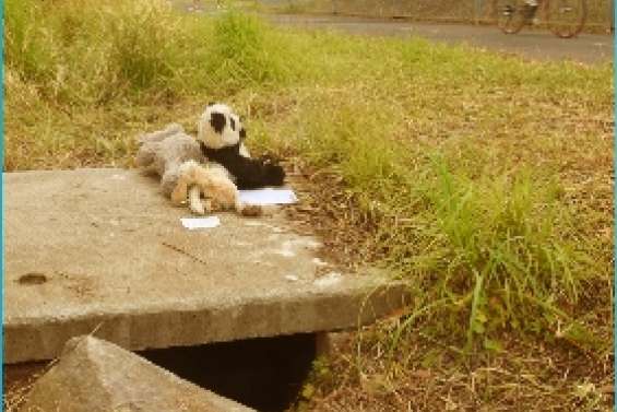 Abandonné et sauvé