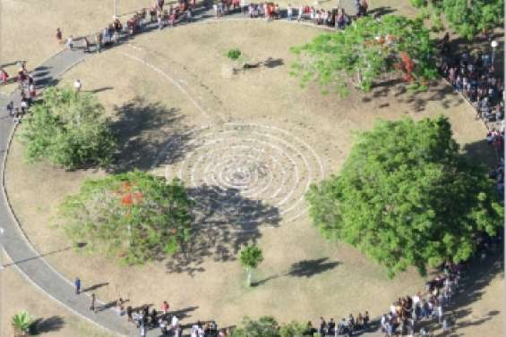 Un pétroglyphe en fleurs d'aluminium