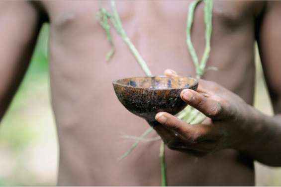 Vers une interdiction totale de kava