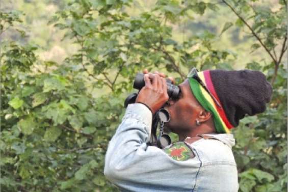 Des sous pour les oiseaux