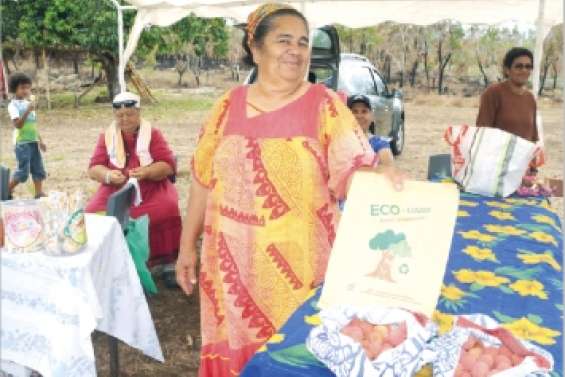 Des projets de recyclage en 2015