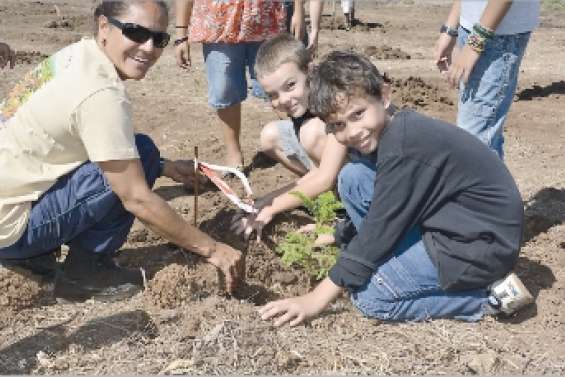 La sensibilisation par la racine