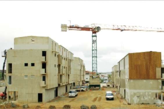 Bambou et non pas Alcyone