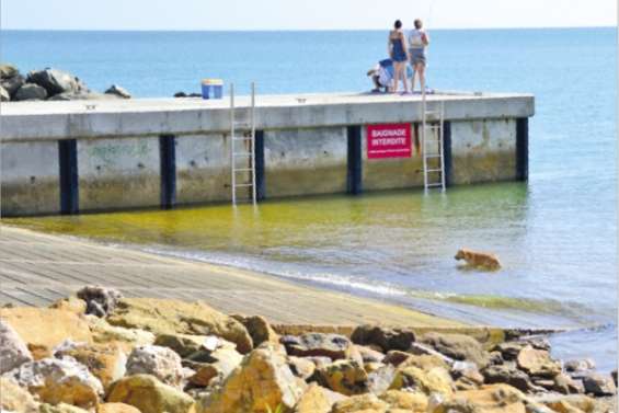 La navette maritime en 2015 ?