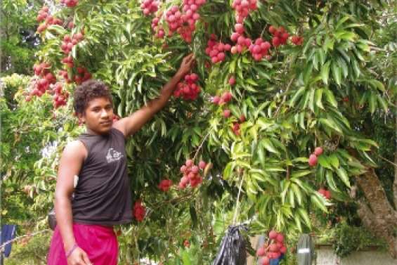 Hnacaöm a les poches pleines de letchis