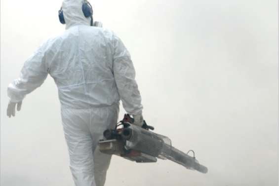 Le chik entre les mailles