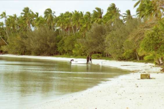 Des langoustes en vivier ?