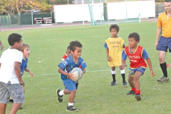 Des crevettes dans la mêlée