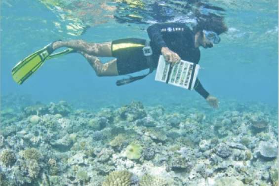 La plongée touche le fond
