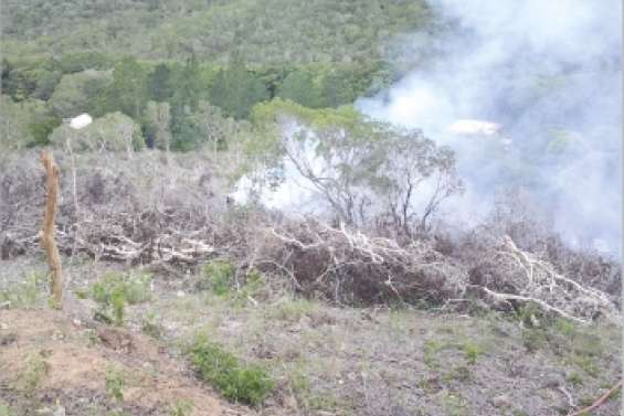 Les dangers de l'écobuage