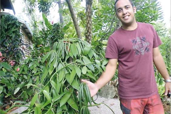 Parfum de vanille à Gadji