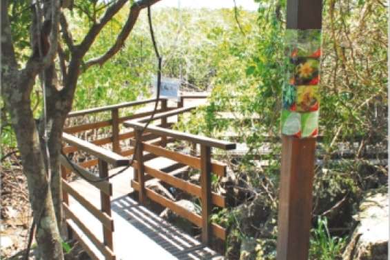 Chemin faisant  à Boulari