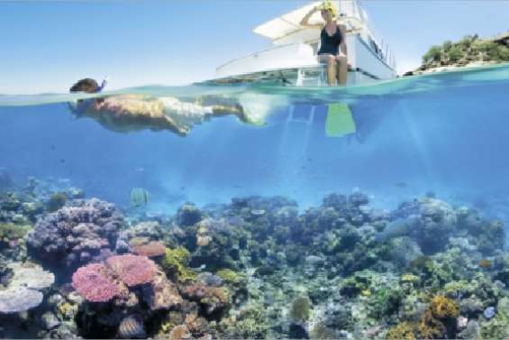 Moins de déchets sur la Barrière
