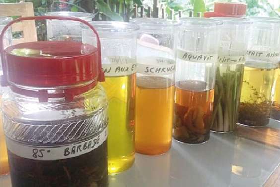 Un ti'punch bientôt local