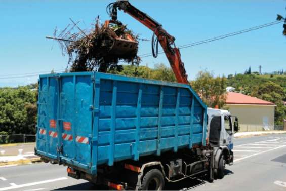 La Star a broyé du vert
