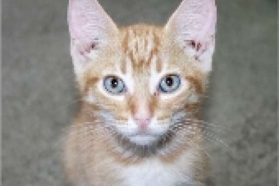 La Polynésie à l'honneur au centre de vacances