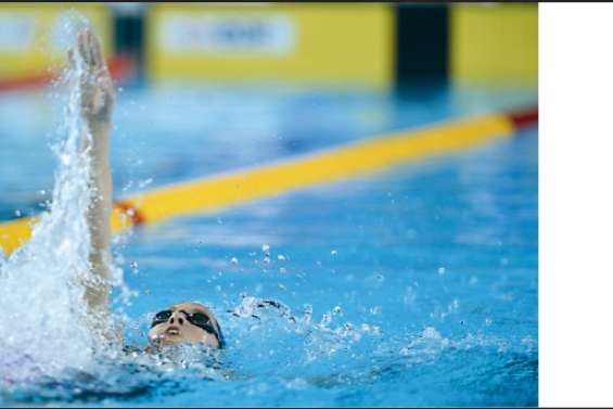 Deux Cagous en quête d'or