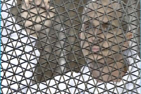 Le journaliste  libéré et expulsé