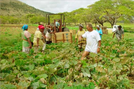 Maigre salaire de la terre