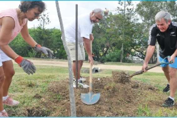 Le Croissant vert du matin