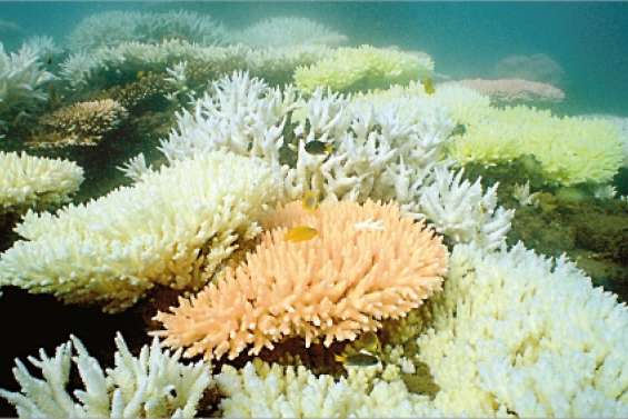 Touche pas à ma Barrière !