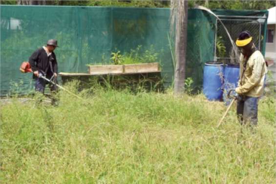 Le bal des débroussailleuses