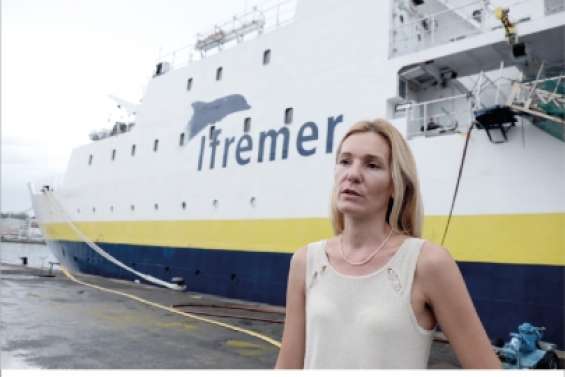 Des algues salvatrices ?