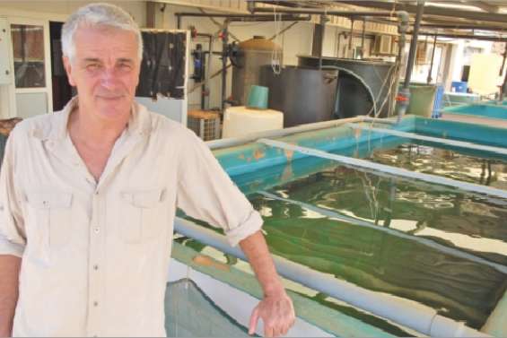 Le picot rayé s'apprivoise