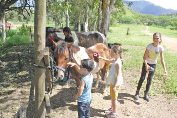 Rêver sur un cheval